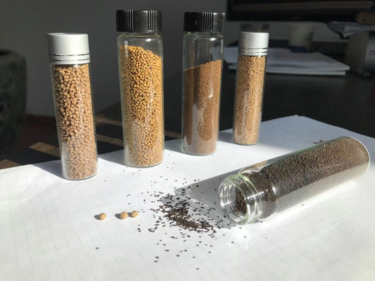 Feed samples.jpg